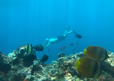 Snorkeling gear Best snorkeling spots Snorkeling safety tips Snorkeling tours Snorkeling for beginners Snorkeling destinations Snorkeling experience Underwater photography snorkeling Coral reef snorkeling Snorkeling travel tips