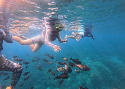 Snorkeling gear Best snorkeling spots Snorkeling safety tips Snorkeling tours Snorkeling for beginners Snorkeling destinations Snorkeling experience Underwater photography snorkeling Coral reef snorkeling Snorkeling travel tips