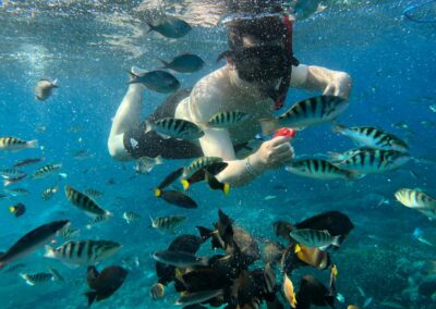 Snorkeling gear Best snorkeling spots Snorkeling safety tips Snorkeling tours Snorkeling for beginners Snorkeling destinations Snorkeling experience Underwater photography snorkeling Coral reef snorkeling Snorkeling travel tips