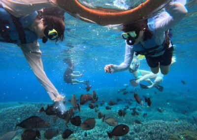 Snorkeling gear Best snorkeling spots Snorkeling safety tips Snorkeling tours Snorkeling for beginners Snorkeling destinations Snorkeling experience Underwater photography snorkeling Coral reef snorkeling Snorkeling travel tips